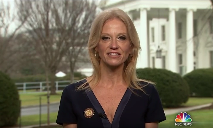 Kellyanne Conway, Foto: Captura NBC