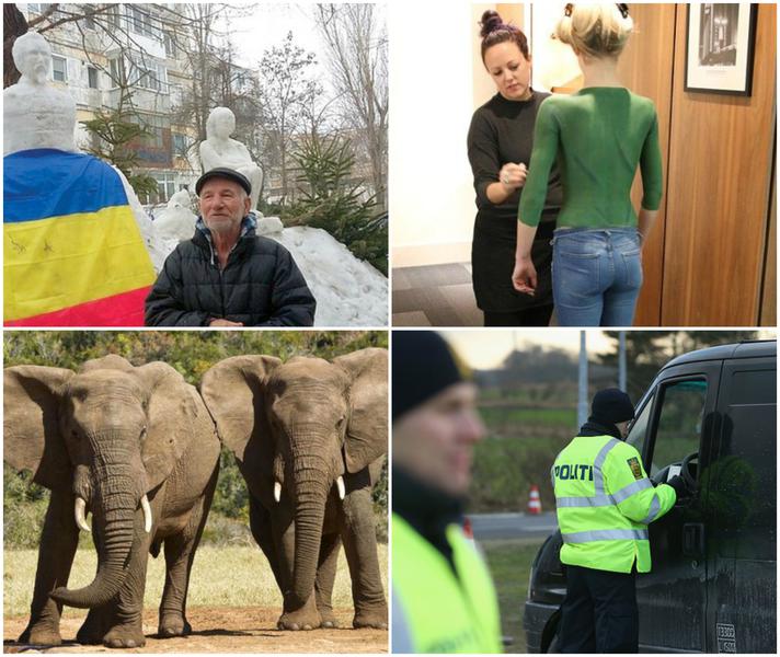 Faze tari, Foto: Colaj foto