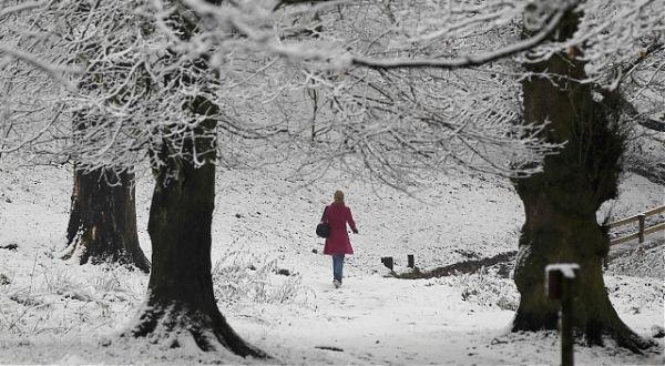 Nostalgii de iarna, Foto: Reuters