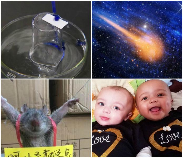 Faze tari, Foto: Colaj foto