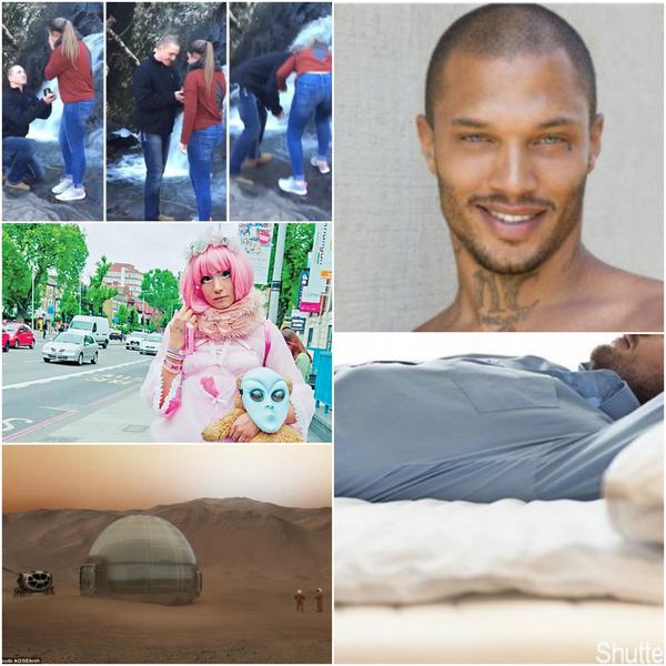 Faze tari, Foto: Colaj foto