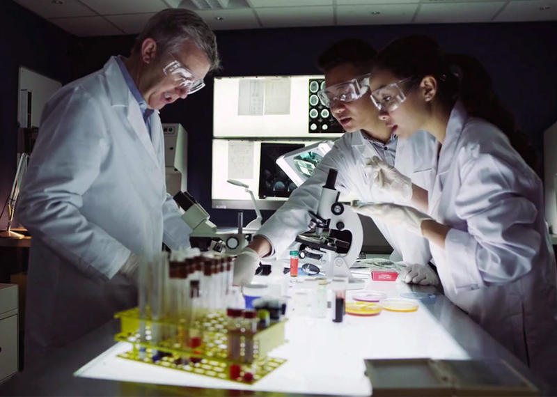 Uleiul de krill, Foto: Captura spot Korill