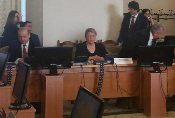 Sevil Shhaideh la audieri in Parlament, Foto: Hotnews