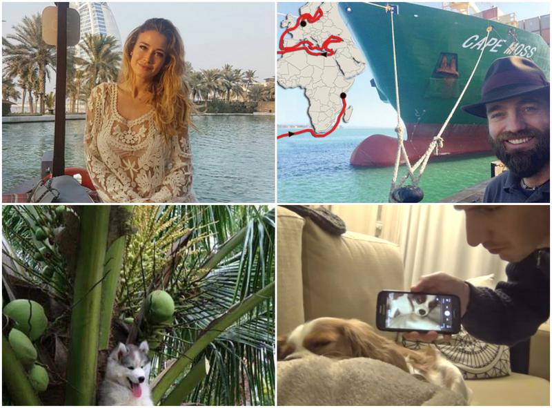 Faze tari, Foto: Colaj foto