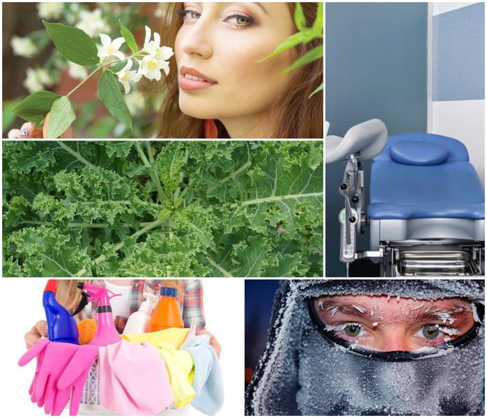 Utile, Foto: Colaj foto