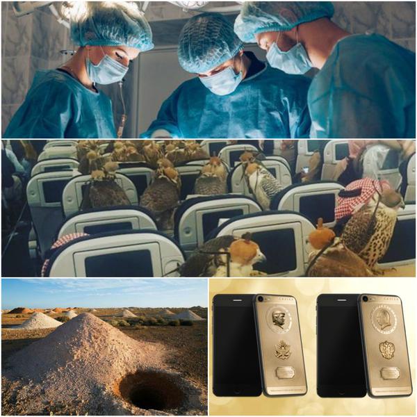 Faze tari, Foto: Colaj foto