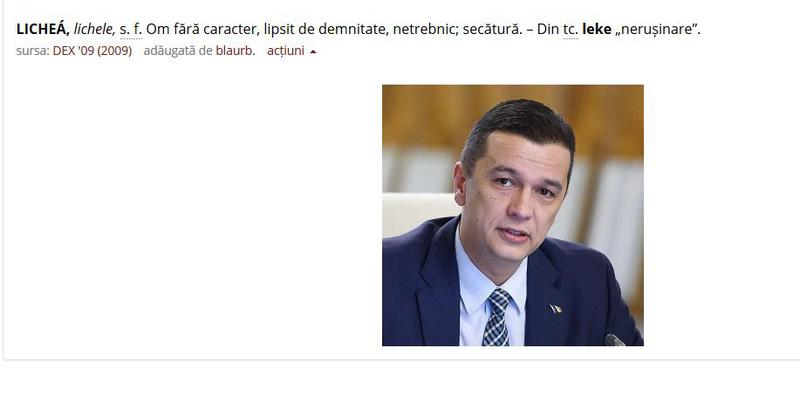 Cuvantul zilei pe Dex online, Foto: DEX Online