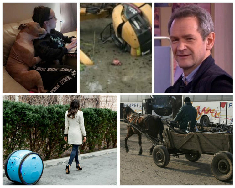 Faze Tari, Foto: Colaj foto