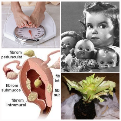 Utile, Foto: Colaj foto