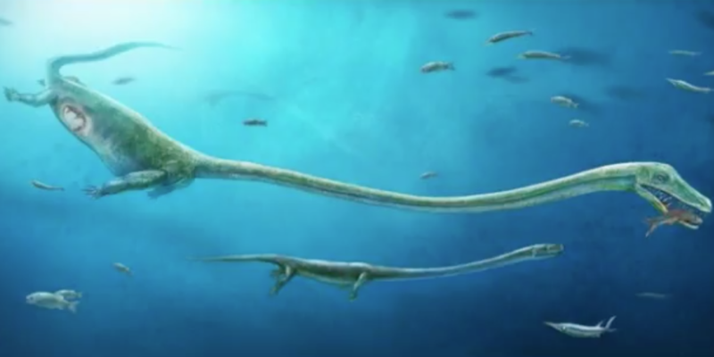 Dinocephalosaurus, Foto: Captura YouTube