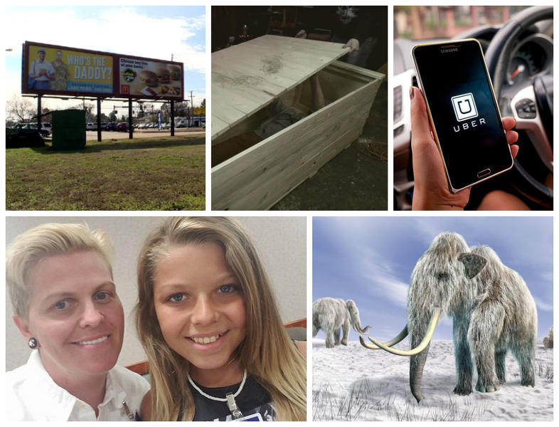 Faze Tari, Foto: Colaj foto