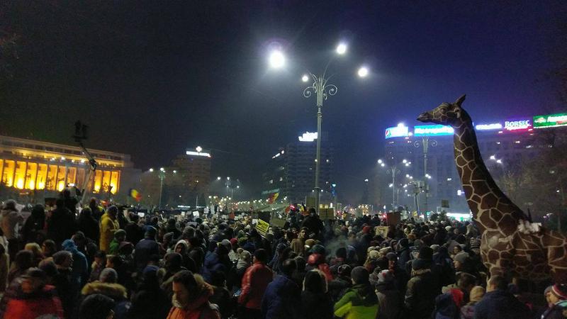 Protestul de joi din Piata Victoriei, Foto: Hotnews