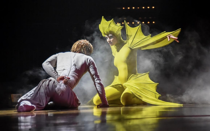 Varekai - Cirque du Soleil, Foto: webPR.ro