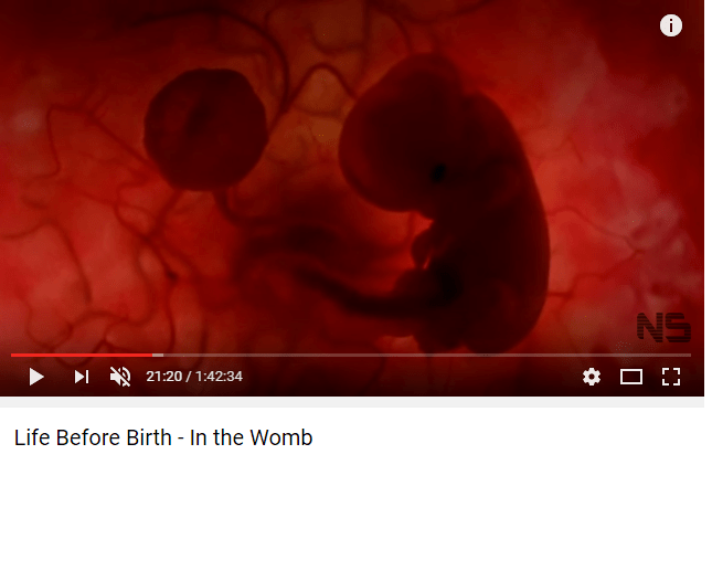 Fetusul in a opta saptamana a sarcinii, Foto: Captura YouTube