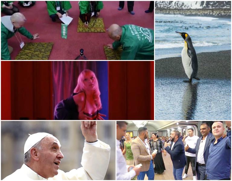 Faze tari, Foto: Colaj foto