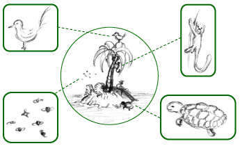 Fauna, Foto: Wikipedia