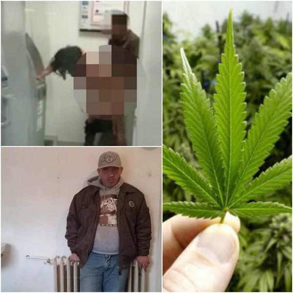 Faze tari, Foto: Colaj foto