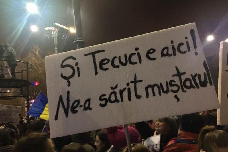 Protest Tecuci, Foto: Kovacs Andras