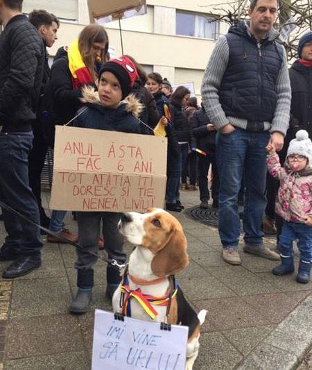Protest Luxemburg, Foto: Adina Barbu