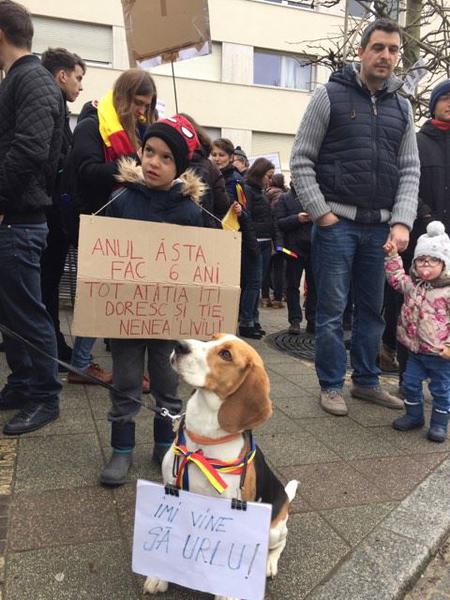 Protest Luxemburg, Foto: Adina Barbu