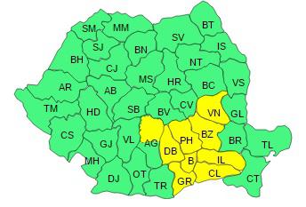 Cod galben de viscol, Foto: ANM