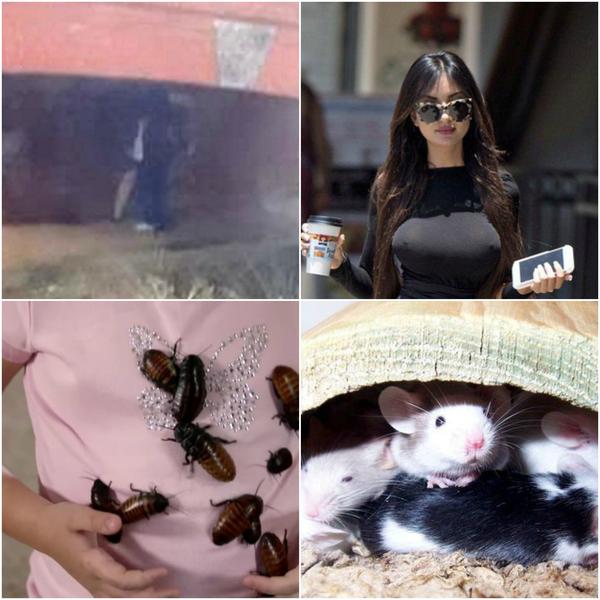 Faze tari, Foto: Colaj foto