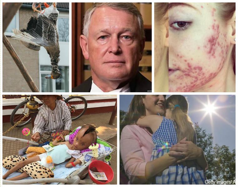 Faze Tari, Foto: Colaj foto