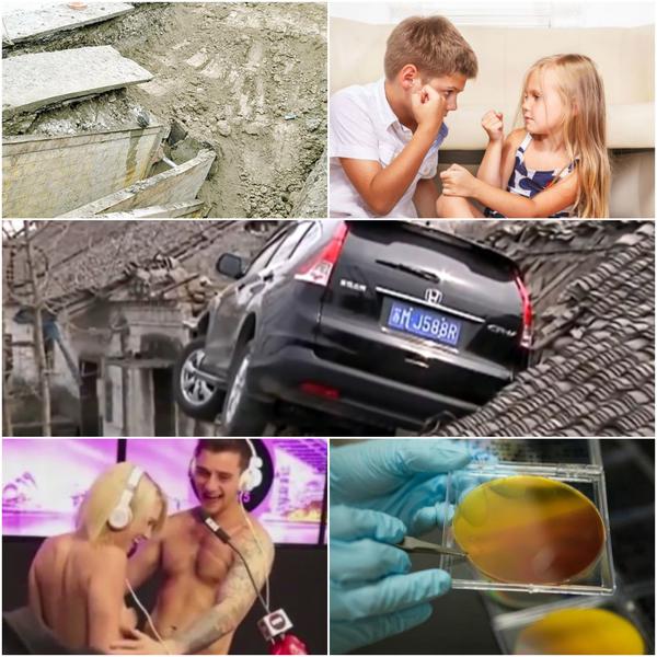 Faze tari, Foto: Colaj foto