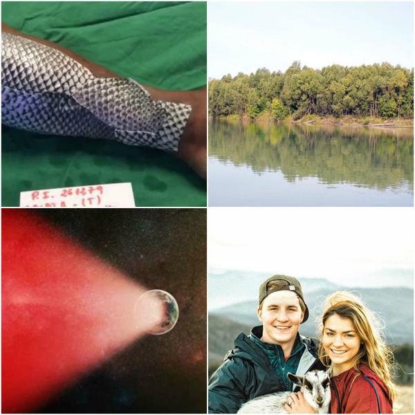 Faze tari, Foto: Colaj foto