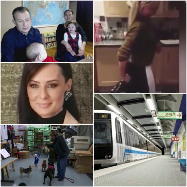 Faze tari, Foto: Colaj foto