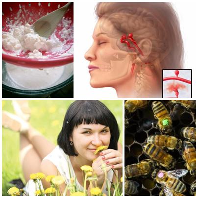 Utile, Foto: Colaj foto