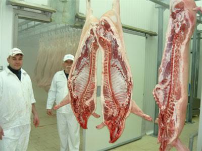 Carcase de porci la Salcia, Foto: Hotnews