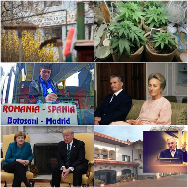 Subiectele zilei, Foto: Colaj foto