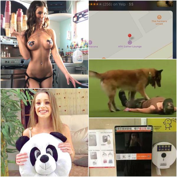 Faze tari, Foto: Colaj foto