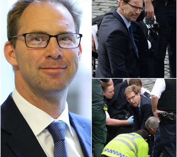 Tobias Ellwood, Foto: Colaj foto