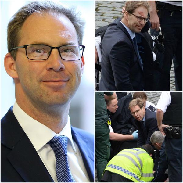 Tobias Ellwood, Foto: Colaj foto