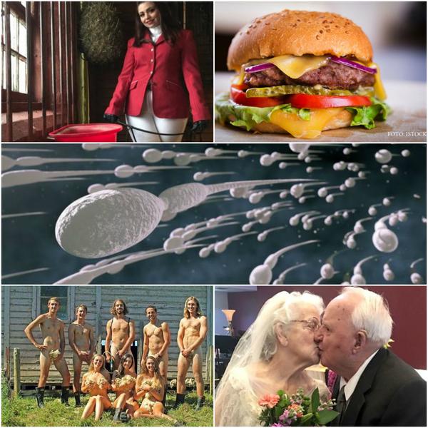 Faze tari, Foto: Colaj foto