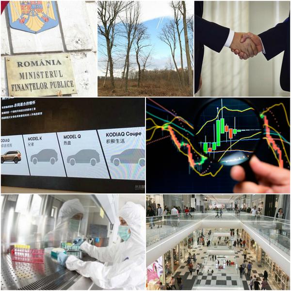 Business report, Foto: Colaj foto