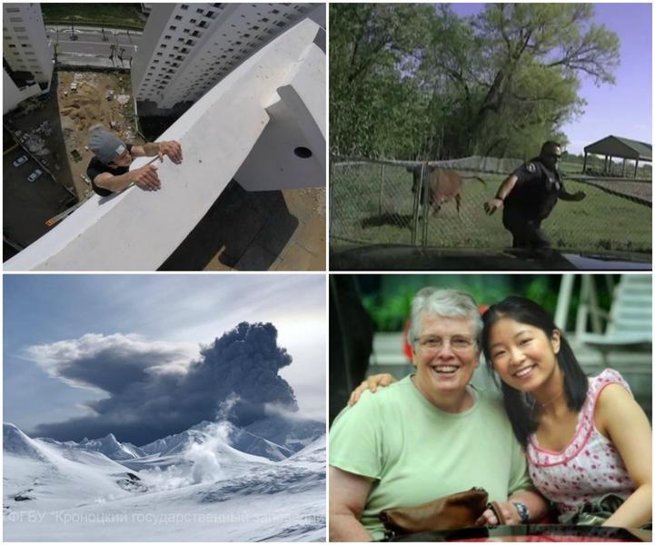 Faze tari, Foto: Colaj foto