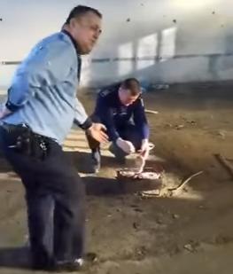 Politisti la gratar, Foto: Captura YouTube