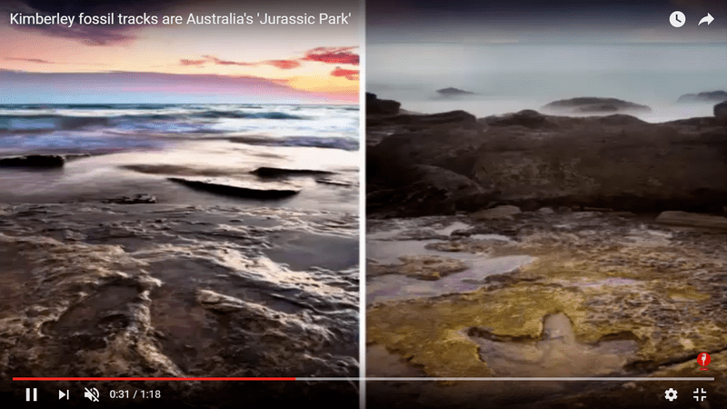 Urme ale dinozaurilor, Foto: Captura YouTube