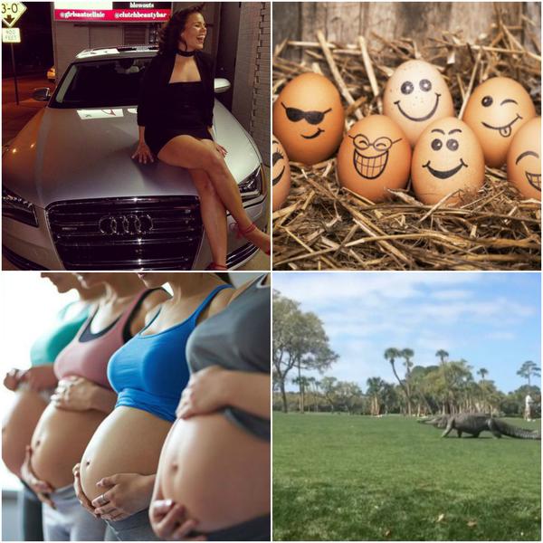 Faze tari, Foto: Colaj foto