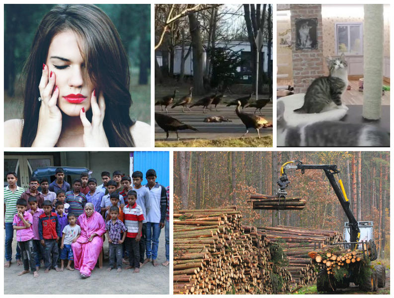 Faze Tari, Foto: Colaj foto