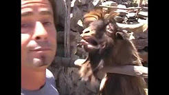 Dialog fierbinte, Foto: youtube.com