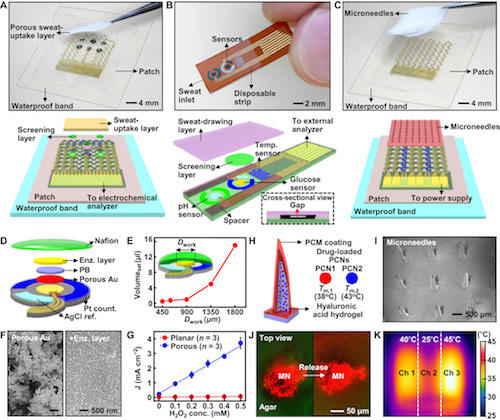 Diabet, Foto: advances.sciencemag.org/