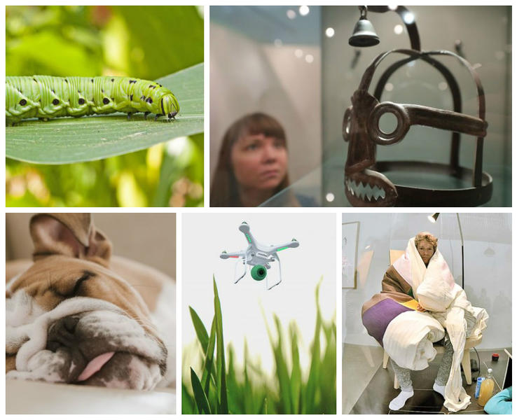 Faze Tari, Foto: Colaj foto