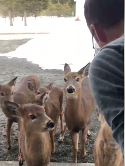 Cea mai frumoasa vizita, Foto: youtube.com