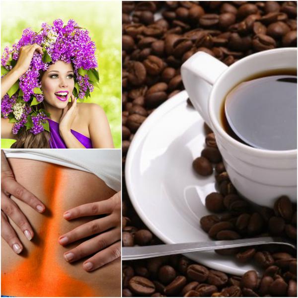 Utile, Foto: Colaj foto