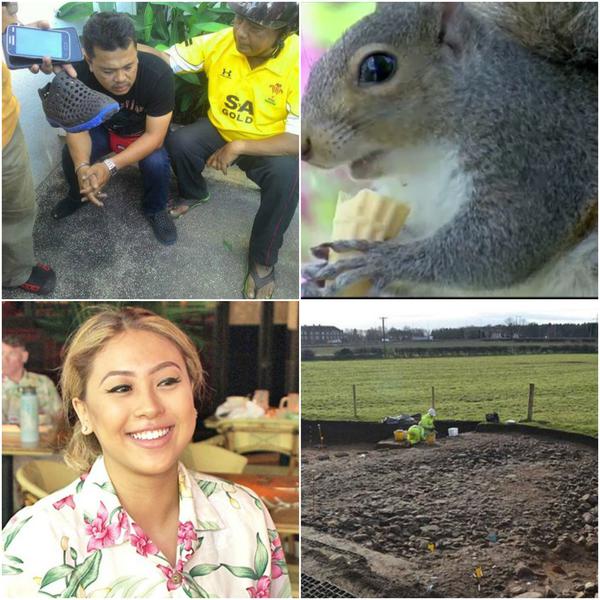 Faze tari, Foto: Colaj foto