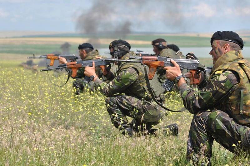 Infanteristi romani, Foto: Facebook/Fortele Navale Romane